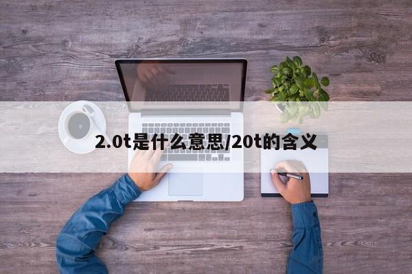 2.0t是什么意思/20t的含义
