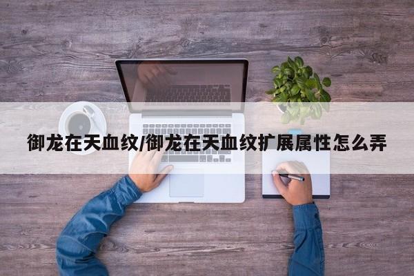 御龙在天血纹/御龙在天血纹扩展属性怎么弄